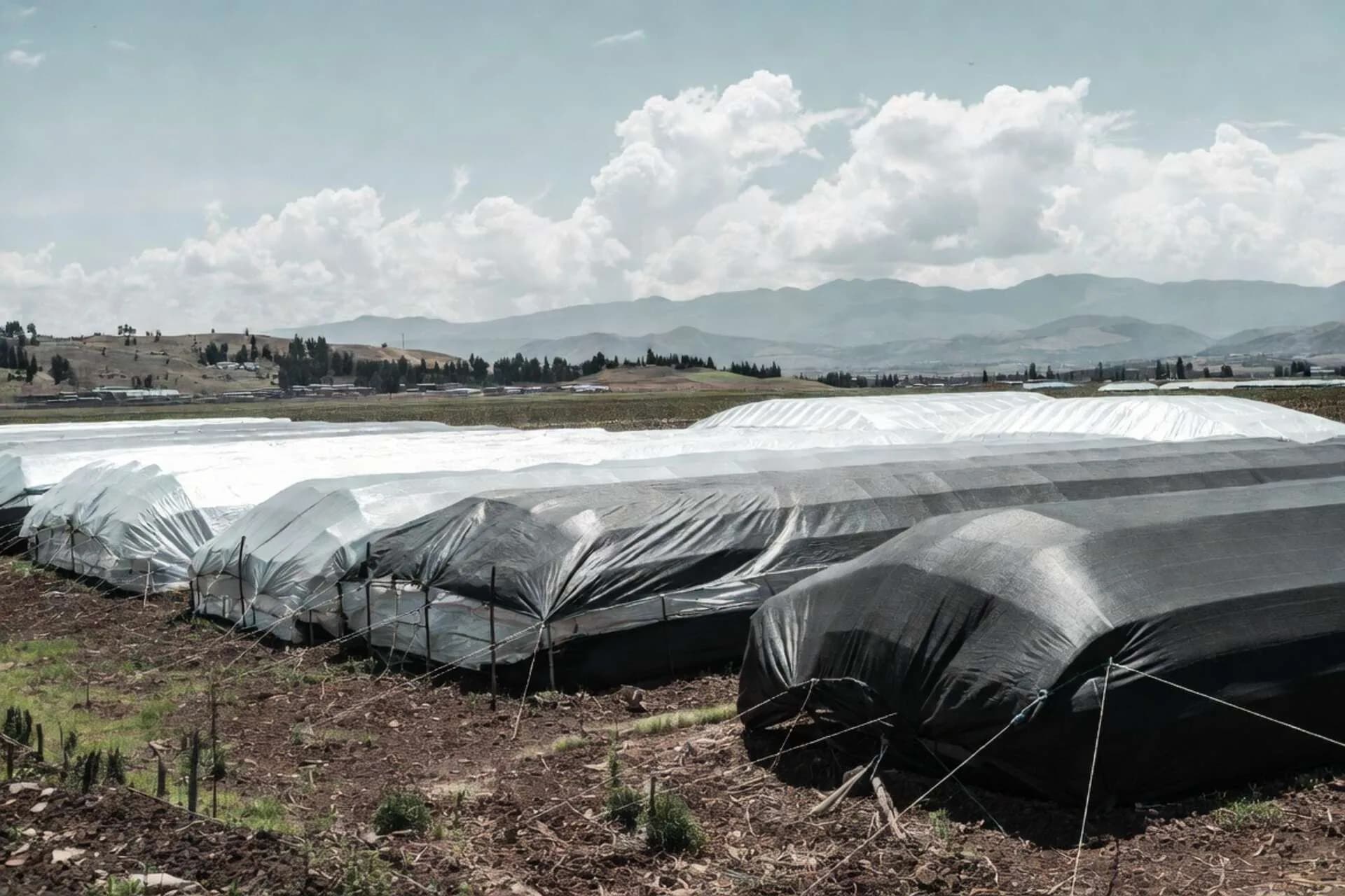 Cobertores Multimaterial (Polytarp, PE, Raschel, Térmico, PP) — Vista general del producto