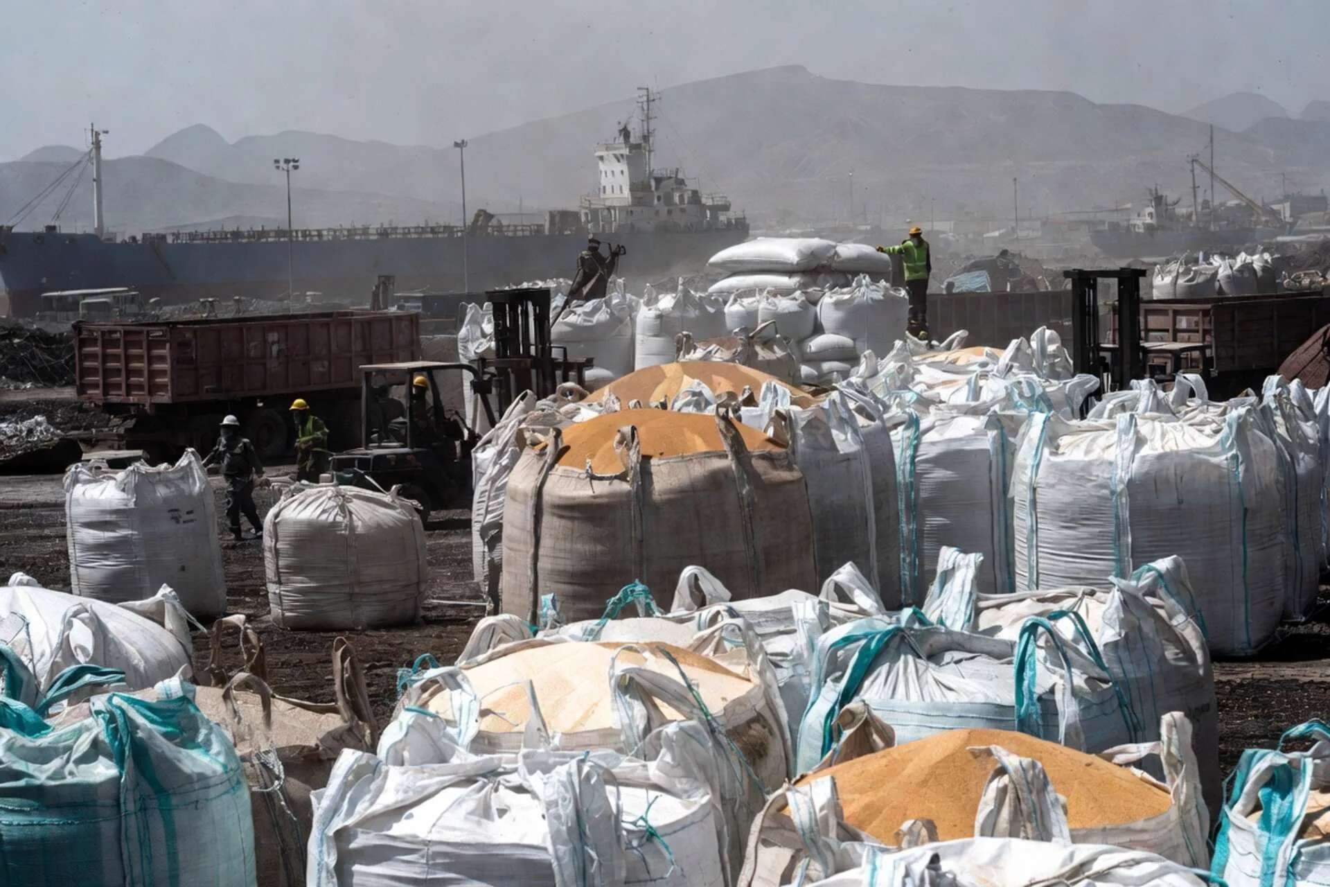 Sacos Polytarp para Embarque a Granel — Vista general del producto